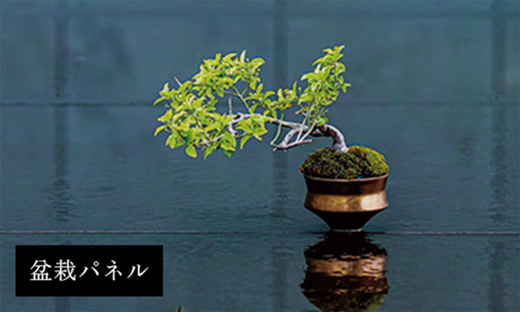 盆栽パネル